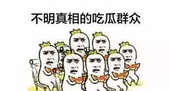 让你当吃瓜群众,吃瓜群众视角下的娱乐圈风云录
