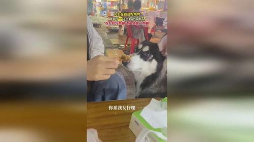 吃瓜群众吃鸡腿图片大全,趣味吃鸡腿图片大盘点