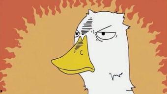 吃瓜群众怎么瘦身的说说,揭秘瓜果蔬菜中的减肥秘密