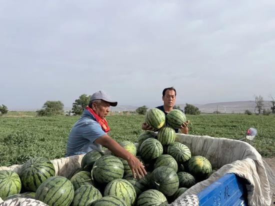 皖国新城吃瓜群众,吃瓜群众见证的社区变迁