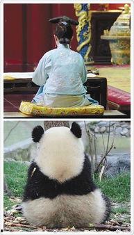 吃瓜群众快乐上车,揭秘娱乐圈幕后故事