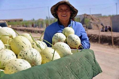 穿进年代文当个吃瓜群众,见证年代文里的风云变幻