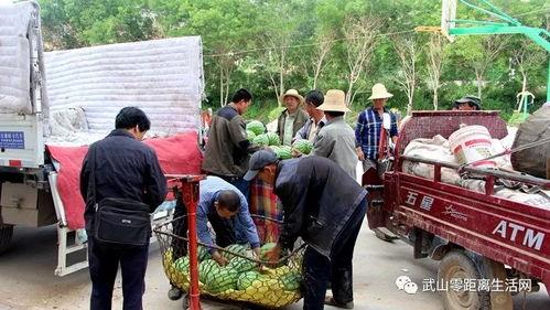 吃瓜群众请站台完整版,揭秘娱乐圈幕后风云与粉丝心声