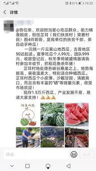 吃瓜群众的第2本书是啥,瓜田秘闻录