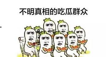 最合理的吃瓜群众排名,揭秘网络热议背后的神秘力量