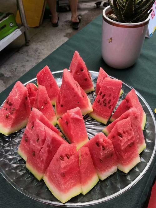 磕瓜群众和吃薯片观众,揭秘网络时代的娱乐新现象