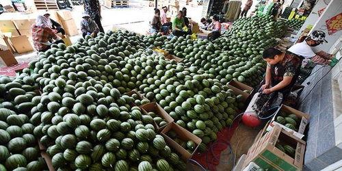 蟠桃街的吃瓜群众,吃瓜群众的欢乐盛宴