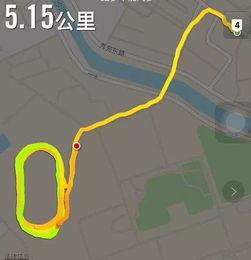 到处跑的吃瓜群众