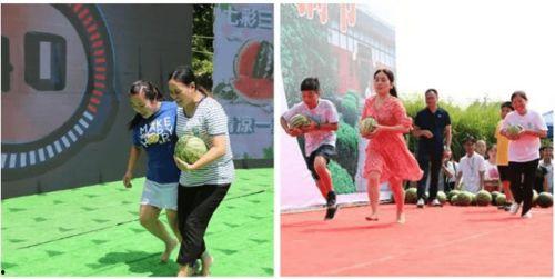 衡阳县吃瓜群众事件视频,一场网络舆论的风暴与反思