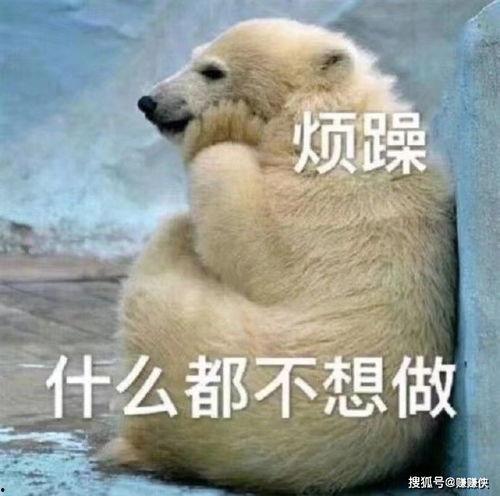 吃瓜群众闭眼图片,揭秘娱乐圈幕后真相