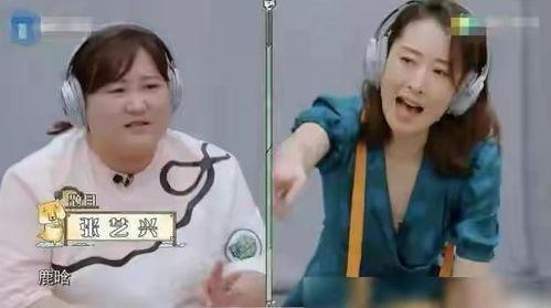 杨迪综艺吃瓜群众视频,趣味横生演绎娱乐圈幕后故事
