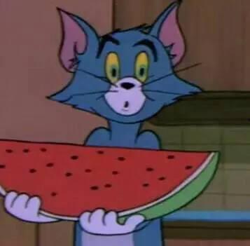 沙雕吃瓜群众,揭秘娱乐圈幕后真相