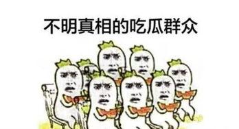 您的吃瓜群众已上线