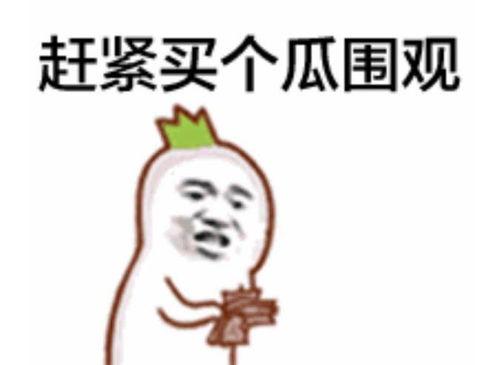 吃瓜群众2元钱是真的吗,2元钱吃瓜群众的真实性之谜