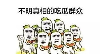 细心的吃瓜群众,细心理解吃瓜群众的视角