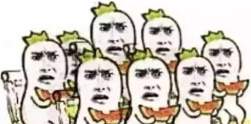 吃瓜群众1225804,网络红人的崛起之路