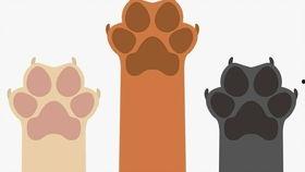 吃瓜群众德文版图片大全,趣味横生的日常生活瞬间