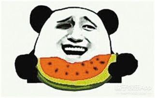 大爷当吃瓜群众视频,趣味横生演绎生活百态