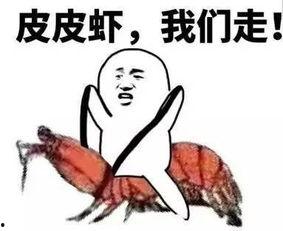 吃瓜群众套路方案下载,揭秘网络热议背后的真相与技巧