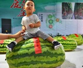 吃瓜群众的诞生,揭秘网络围观文化的崛起