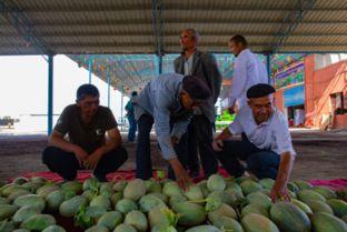 新疆吃瓜的群众叫什么,新疆“吃瓜群众”的日常生活与心声