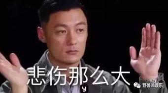 吃瓜群众刚出场,揭秘娱乐圈风云变幻