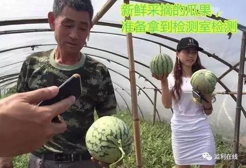 吃瓜群众电台直播