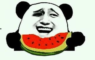 吃瓜群众雷哥是谁扮演的,他是谁？扮演者身份大起底