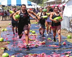 加州吃瓜的群众,揭秘加州生活百态