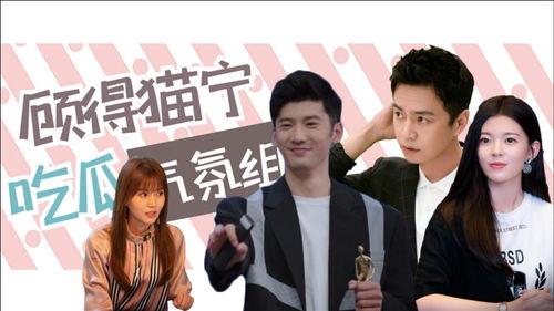 气氛组的吃瓜群众是什么,网络舆论场中的幕后推手