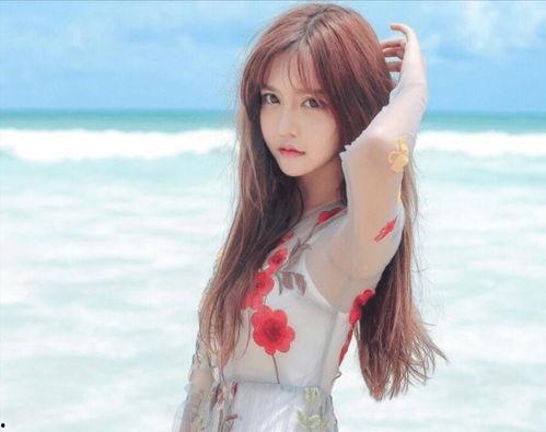 韩安冉的吃瓜群众,吃瓜群众眼中的网红风云