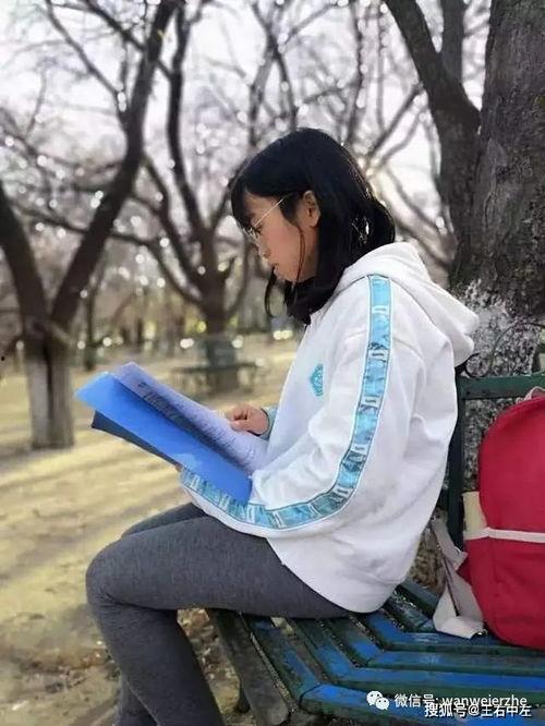 吃瓜群众岱岱 冰冰,吃瓜群众的趣味解读