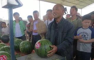 石家庄疫情吃瓜群众,吃瓜群众的视角解读与热议