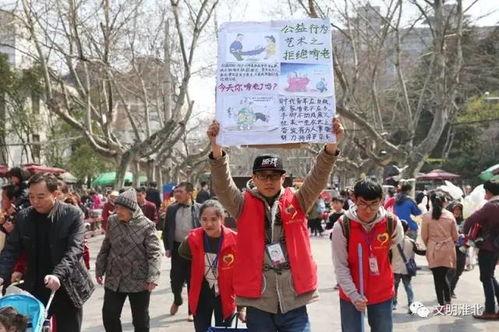 安徽淮北吃瓜群众,吃瓜群众的夏日盛宴