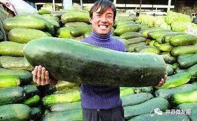 吃瓜群众夏季带孩子,吃瓜群众必备的清凉育儿经