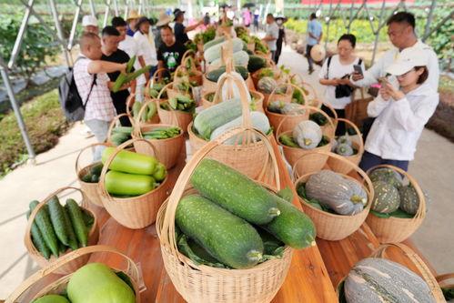 武汉展会吃瓜群众事件最新消息,最新进展与公众关注焦点